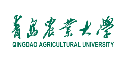 标准字体