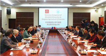 国际合作交流